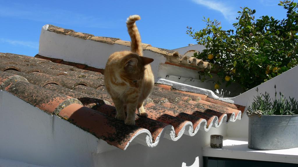 Sa Caseta Puerto Colom Dış mekan fotoğraf